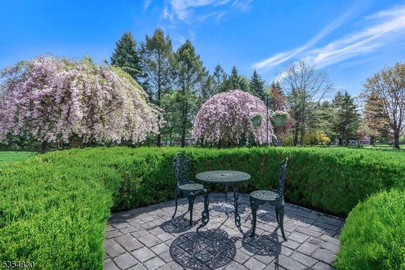 8 Softwood Way, Warren Township, NJ 07059