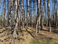 365 Snakeroot Road, Pittsfield, ME 04967