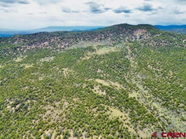 tbd Winchester Trail, Montrose, CO 81403