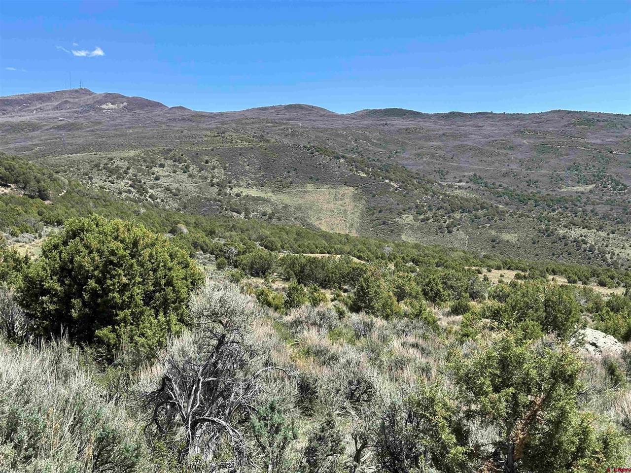 tbd Winchester Trail, Montrose, CO 81403