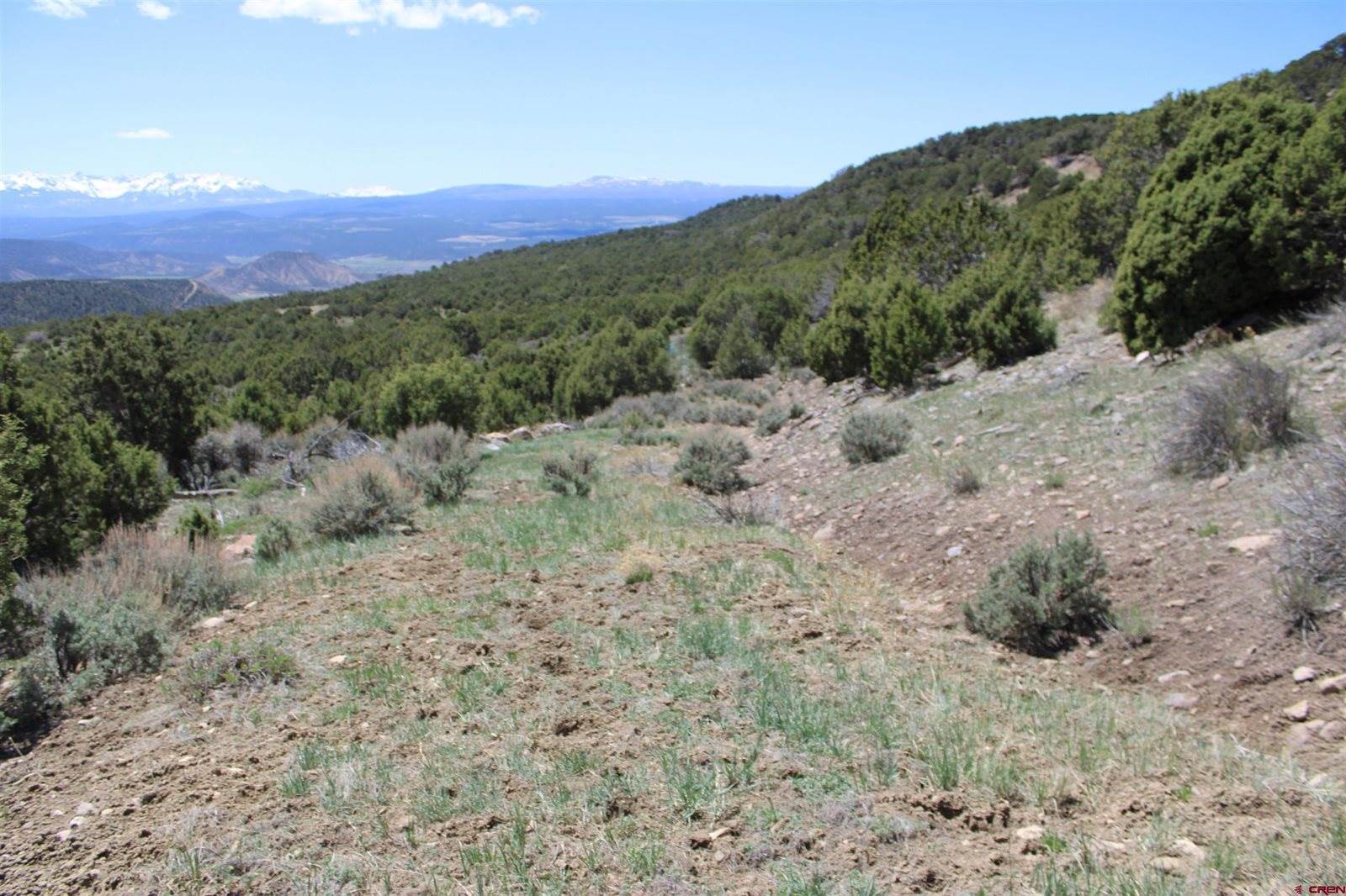 tbd Winchester Trail, Montrose, CO 81403