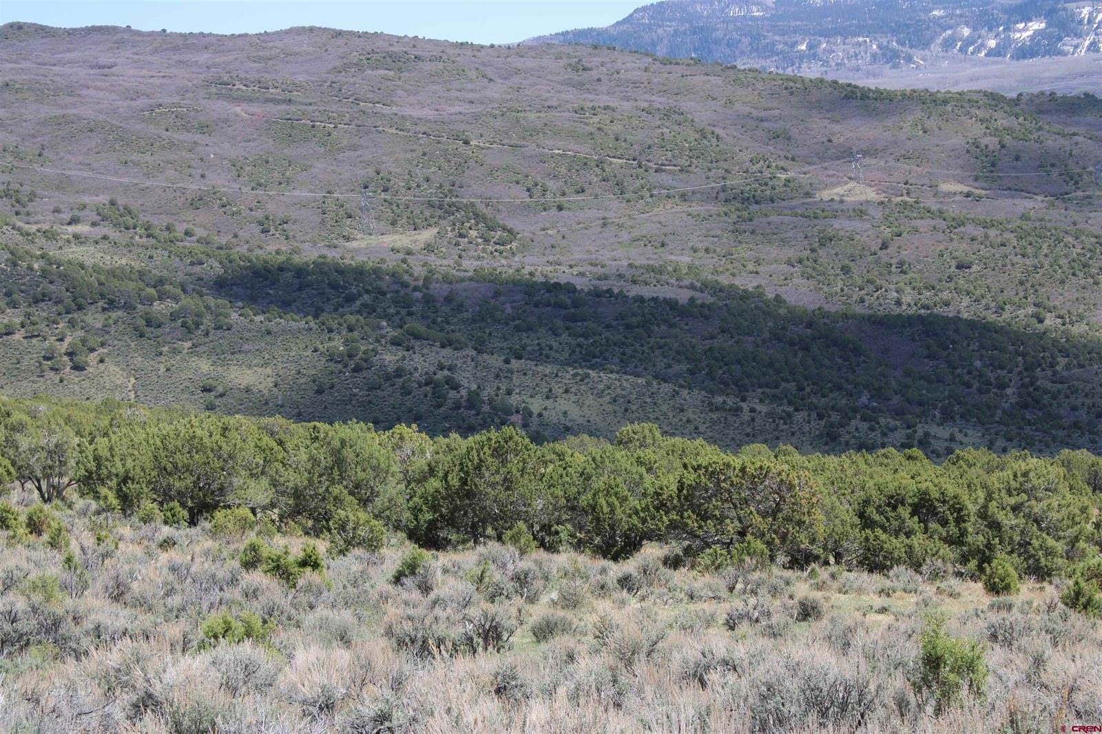 tbd Winchester Trail, Montrose, CO 81403