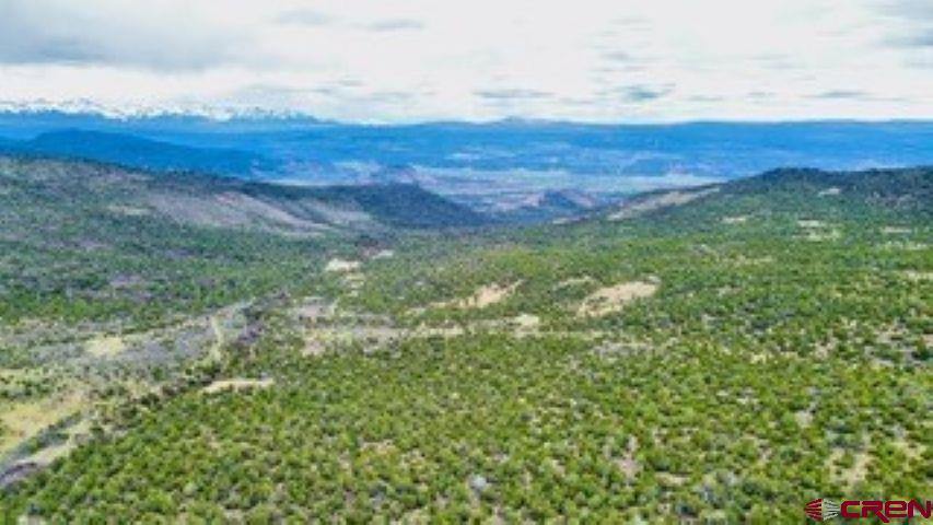 tbd Winchester Trail, Montrose, CO 81403