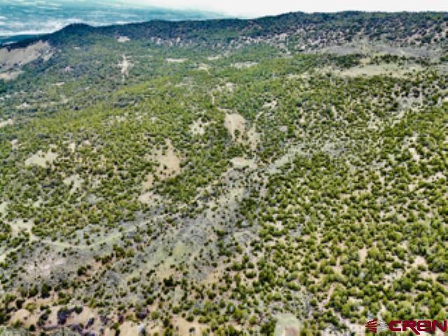 tbd Winchester Trail, Montrose, CO 81403