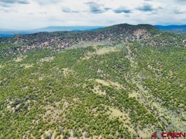 tbd Winchester Trail, Montrose, CO 81403