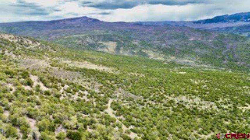 tbd Winchester Trail, Montrose, CO 81403