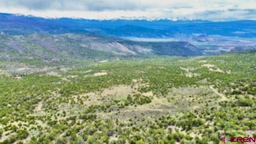 tbd Winchester Trail, Montrose, CO 81403