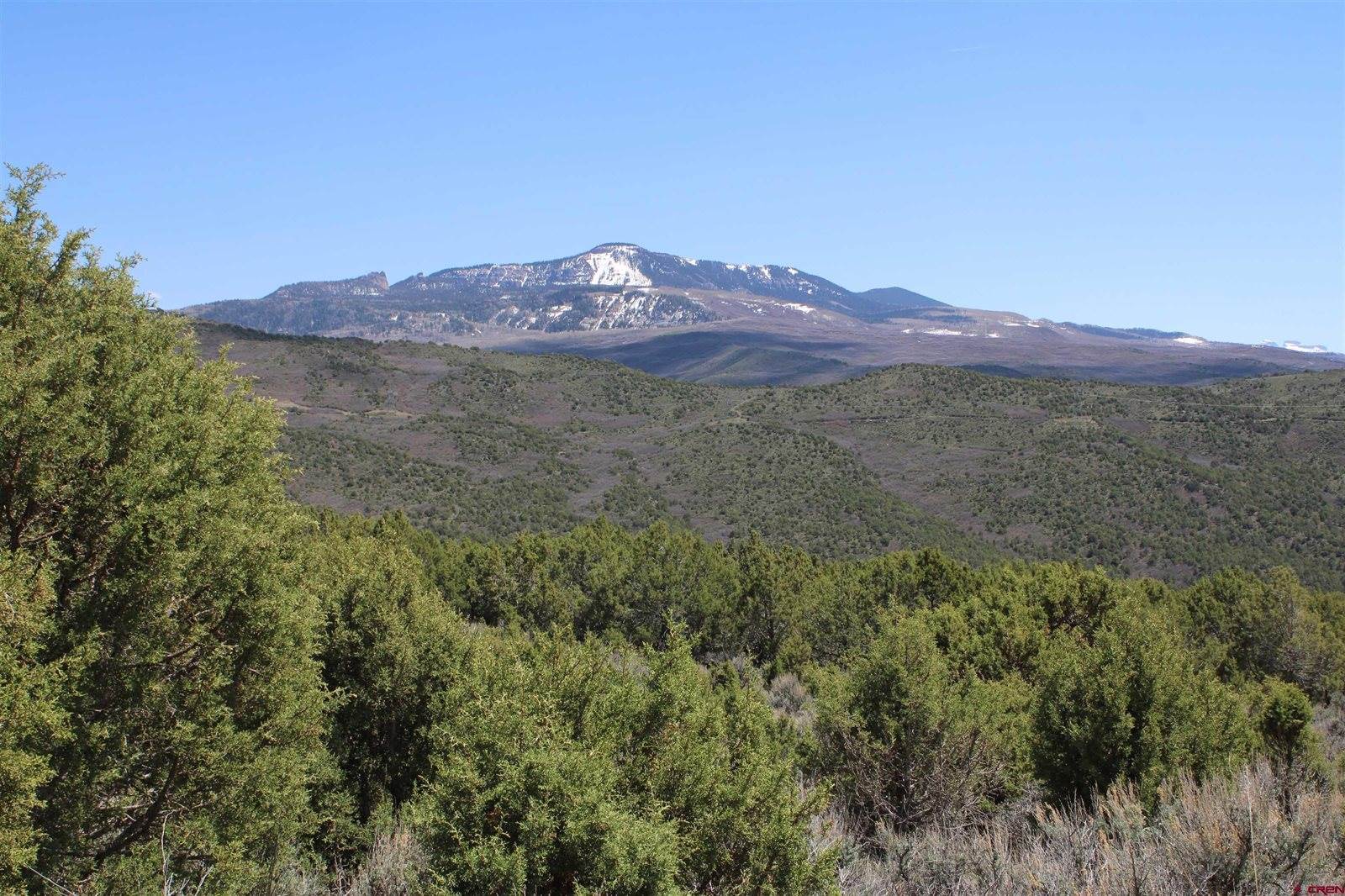 tbd Winchester Trail, Montrose, CO 81403