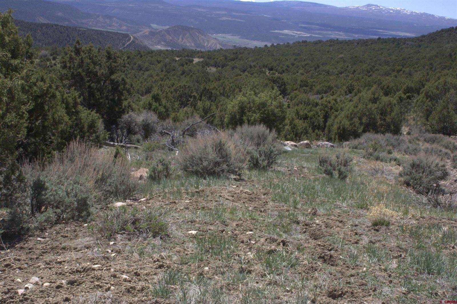 tbd Winchester Trail, Montrose, CO 81403