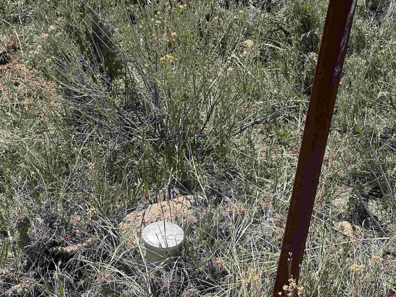 tbd Winchester Trail, Montrose, CO 81403