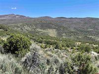 tbd Winchester Trail, Montrose, CO 81403