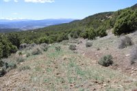 tbd Winchester Trail, Montrose, CO 81403