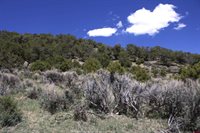 tbd Winchester Trail, Montrose, CO 81403