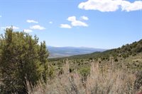 tbd Winchester Trail, Montrose, CO 81403