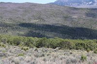 tbd Winchester Trail, Montrose, CO 81403