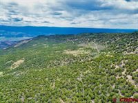 tbd Winchester Trail, Montrose, CO 81403