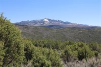 tbd Winchester Trail, Montrose, CO 81403