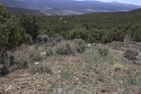 tbd Winchester Trail, Montrose, CO 81403