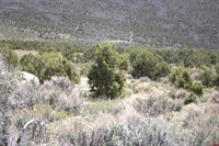 tbd Winchester Trail, Montrose, CO 81403