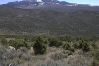 tbd Winchester Trail, Montrose, CO 81403