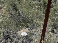 tbd Winchester Trail, Montrose, CO 81403