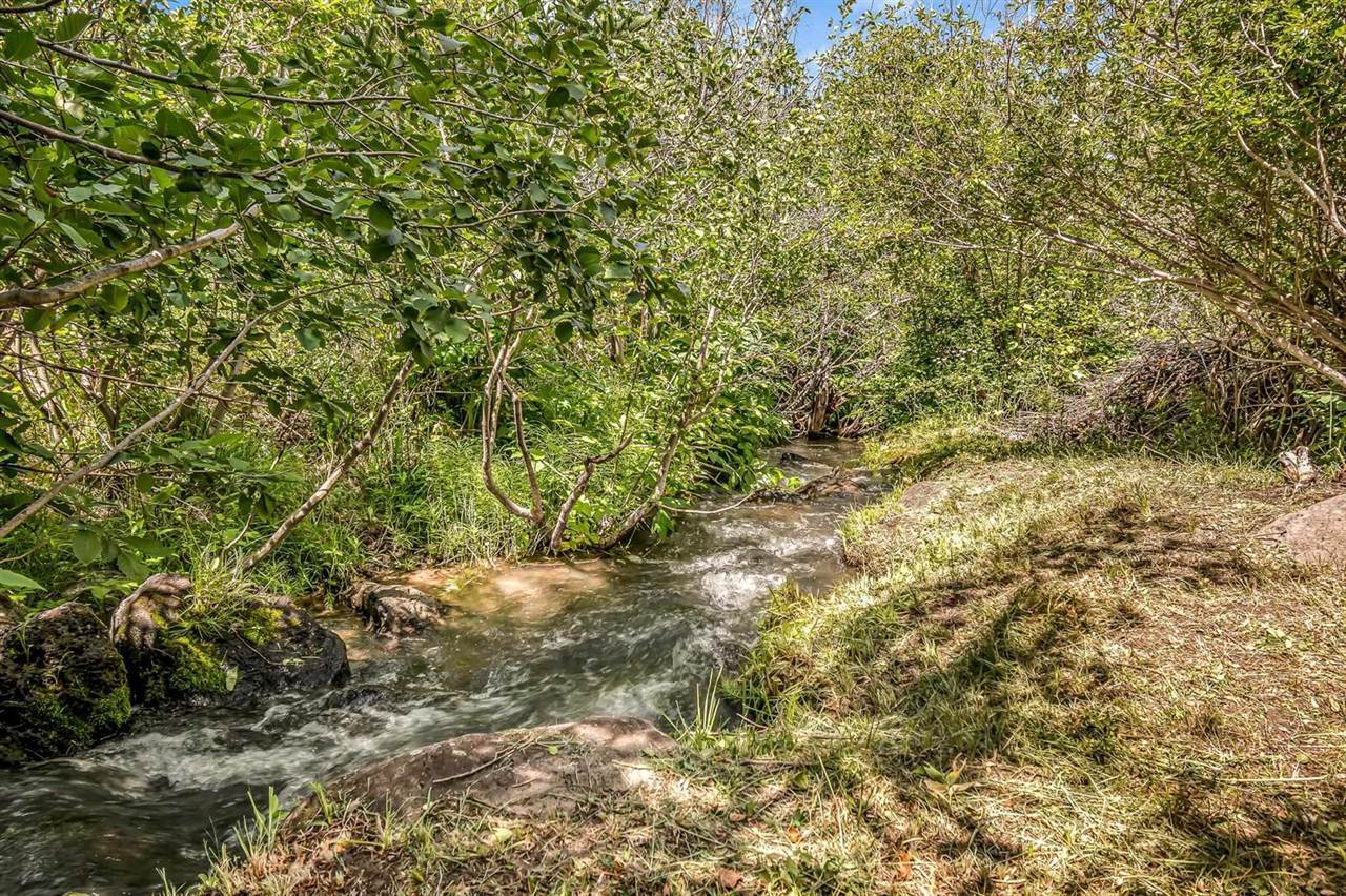 50076 Bear Run Court, Mesa, CO 81643