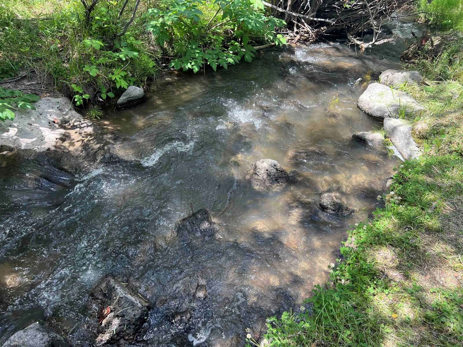 50076 Bear Run Court, Mesa, CO 81643