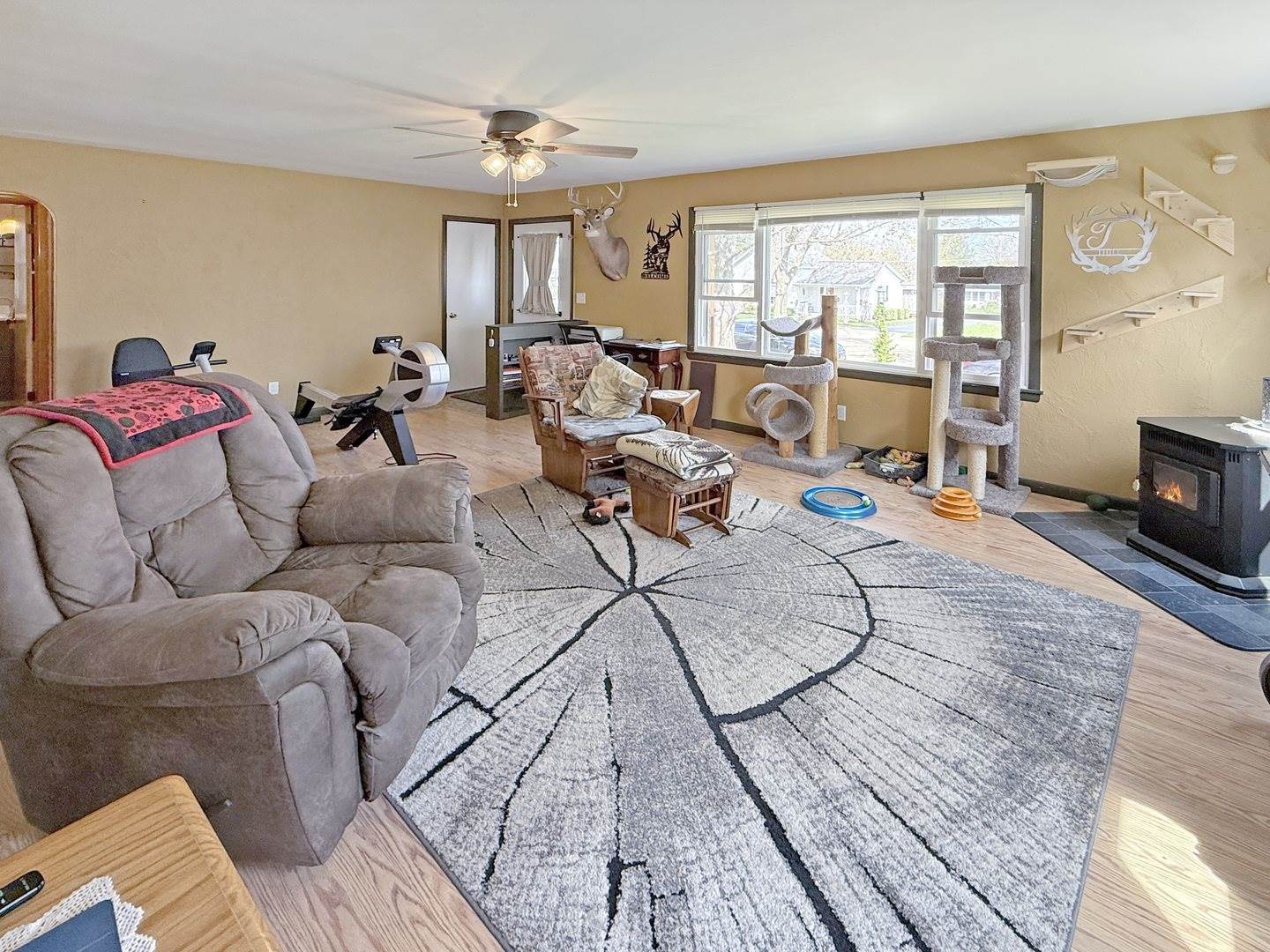 514 South Linn Street, Shannon, IL 61078