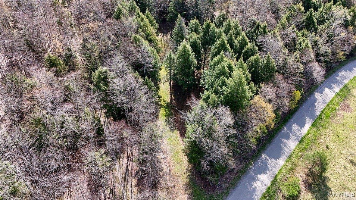 2788 Williamson Road, Greenwood, NY 14839