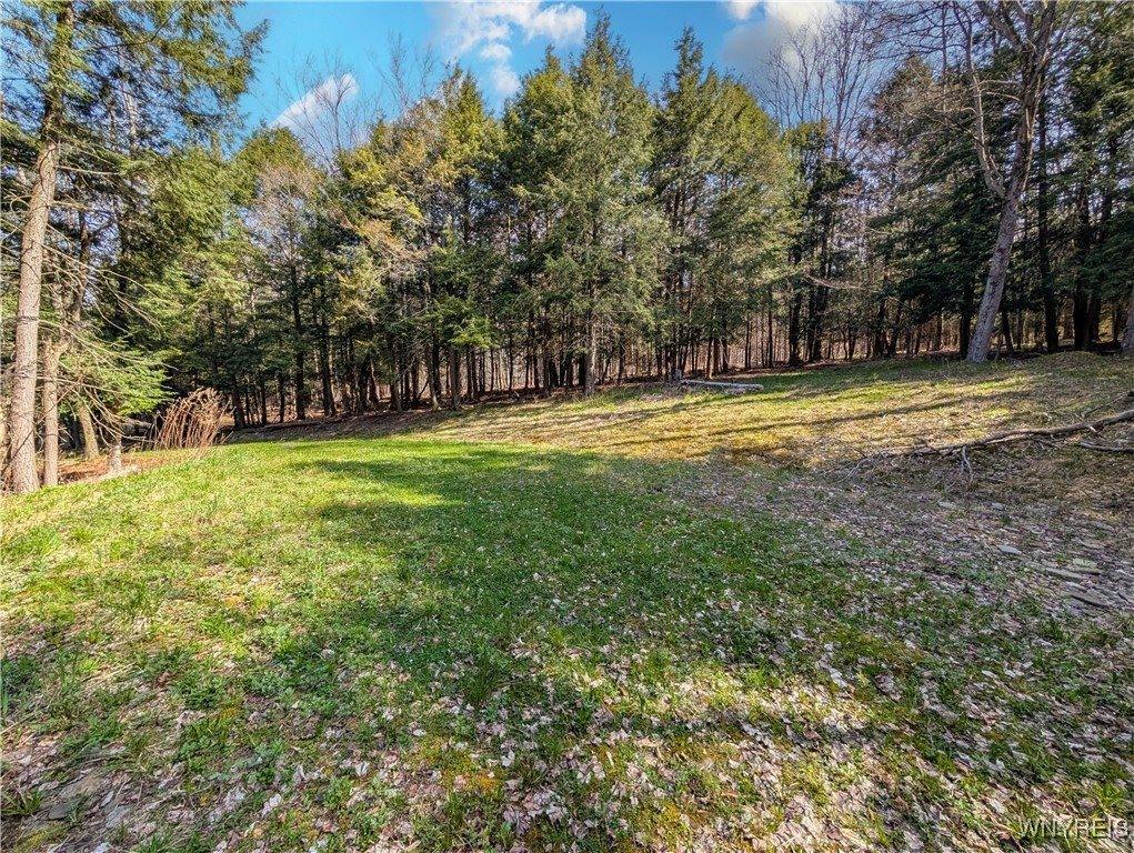 2788 Williamson Road, Greenwood, NY 14839