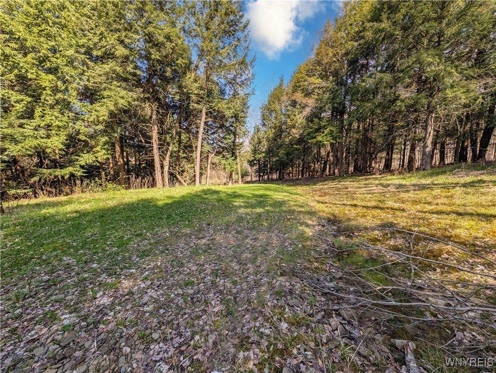 2788 Williamson Road, Greenwood, NY 14839