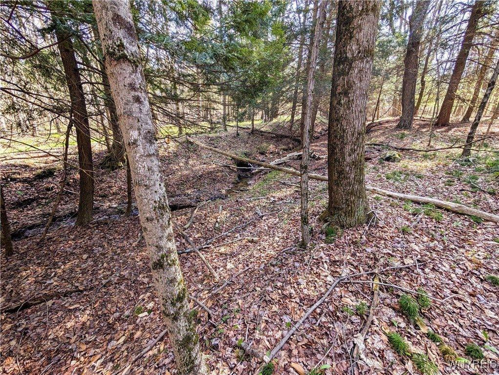 2788 Williamson Road, Greenwood, NY 14839