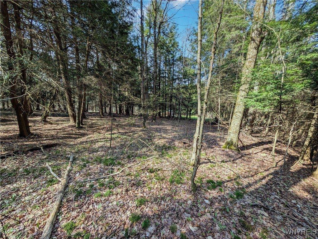 2788 Williamson Road, Greenwood, NY 14839