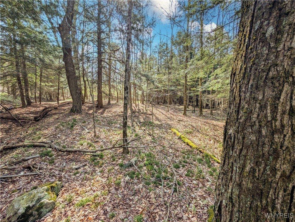 2788 Williamson Road, Greenwood, NY 14839