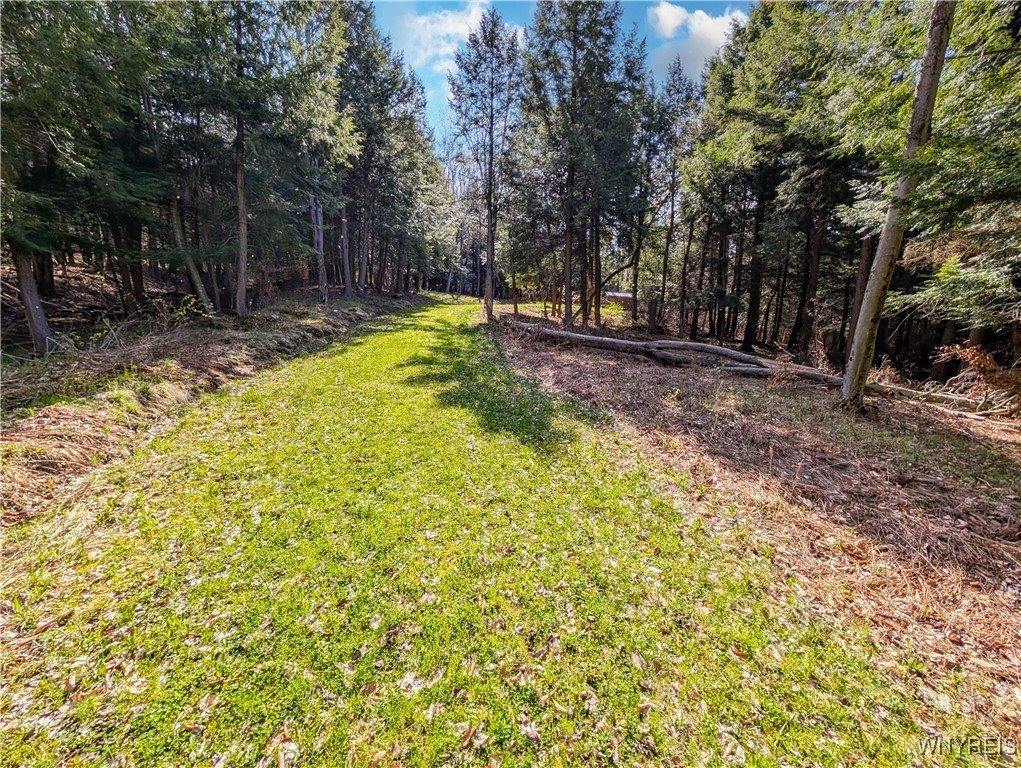 2788 Williamson Road, Greenwood, NY 14839