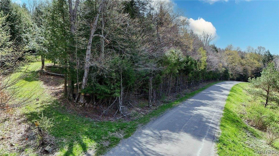 2788 Williamson Road, Greenwood, NY 14839