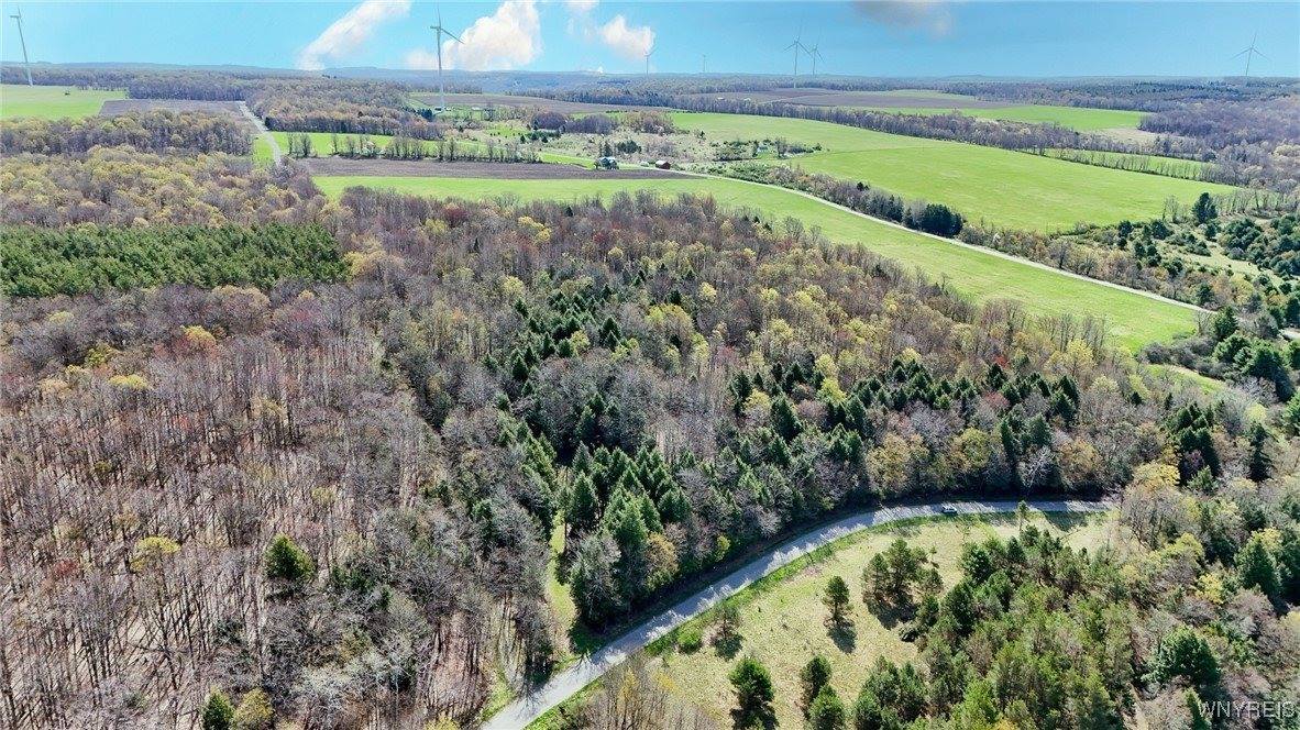 2788 Williamson Road, Greenwood, NY 14839