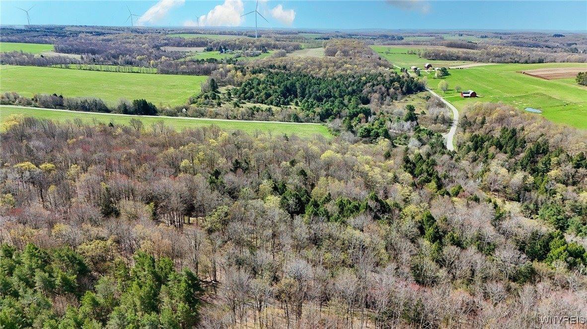 2788 Williamson Road, Greenwood, NY 14839