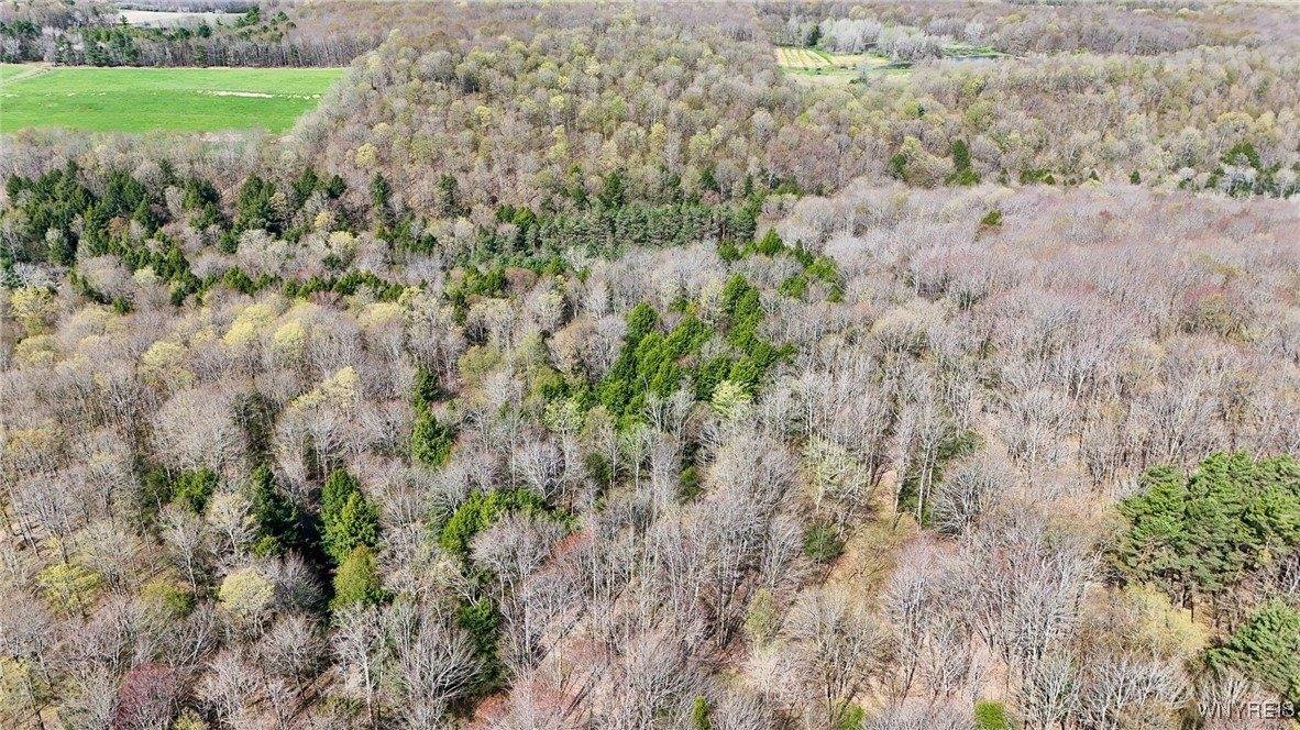 2788 Williamson Road, Greenwood, NY 14839