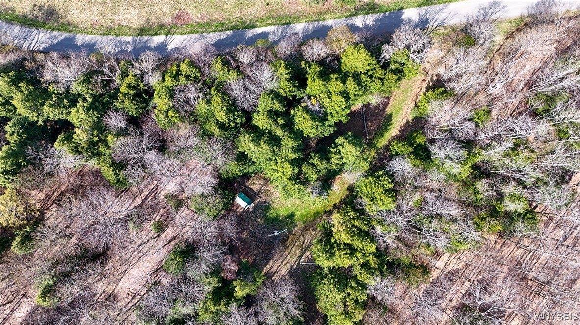 2788 Williamson Road, Greenwood, NY 14839