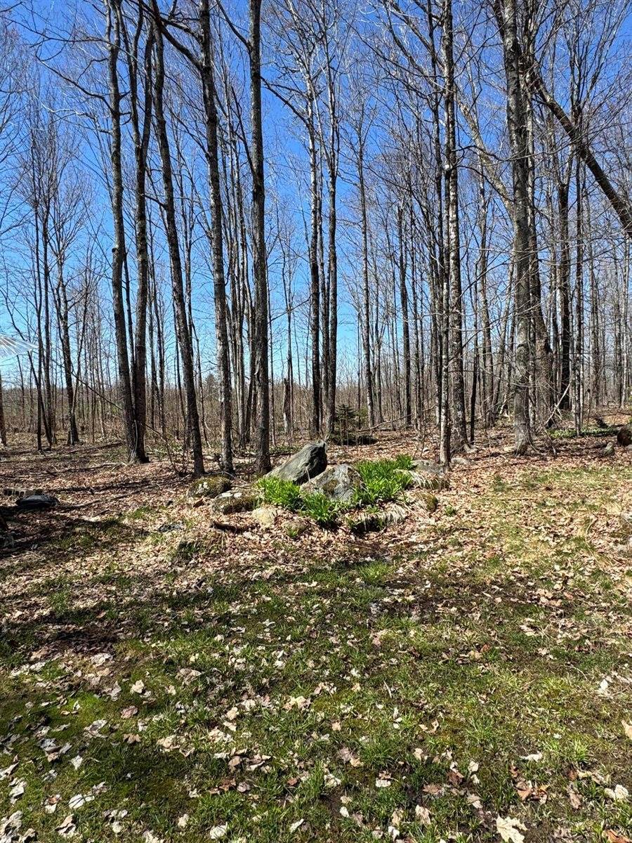 76 Norton Hill Road, Dover-Foxcroft, ME 04426