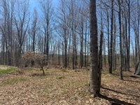 76 Norton Hill Road, Dover-Foxcroft, ME 04426