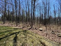 76 Norton Hill Road, Dover-Foxcroft, ME 04426