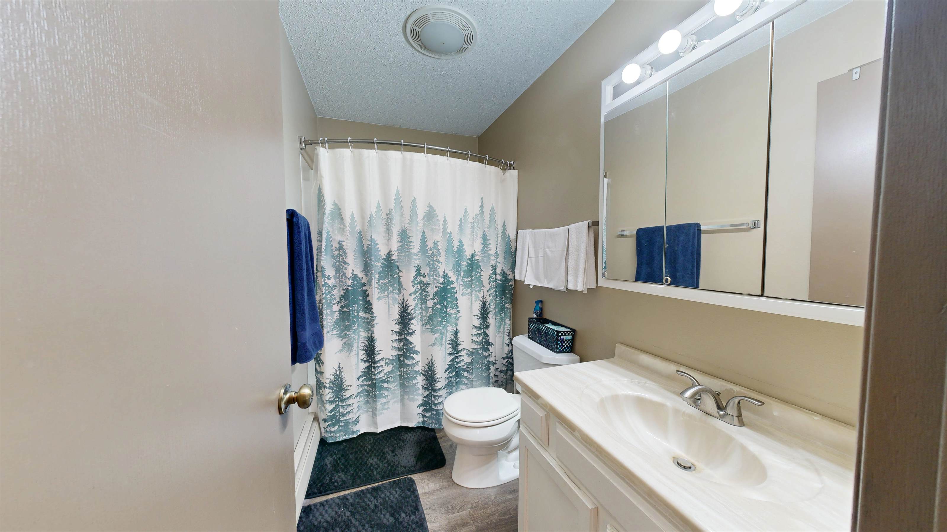 205 NE 1st St, New Albin, IA 52160