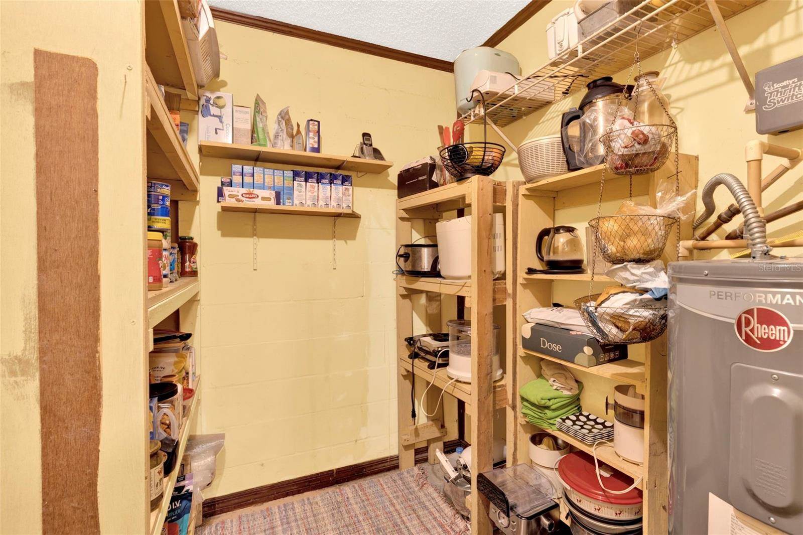 28136 Tammi Drive, Tavares, FL 32778