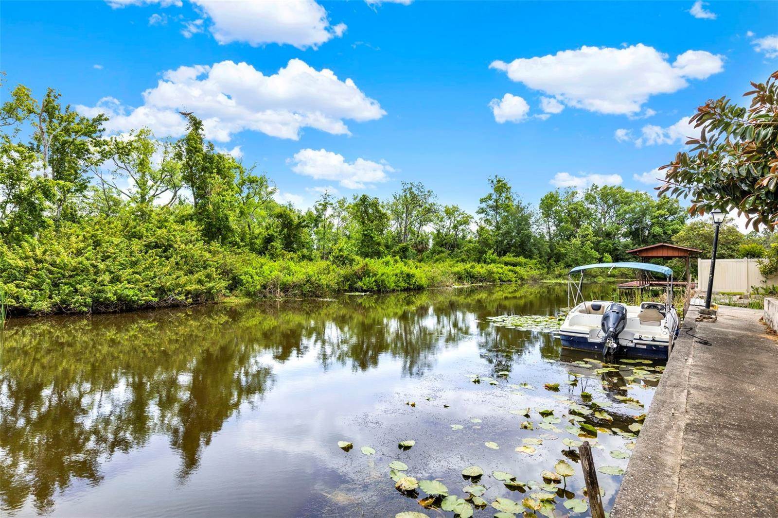 28136 Tammi Drive, Tavares, FL 32778