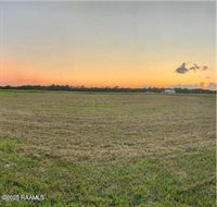 Vie Terre Beau Road, Basile, LA 70515