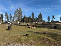 13718 Endicot Circle, Magalia, CA 95954