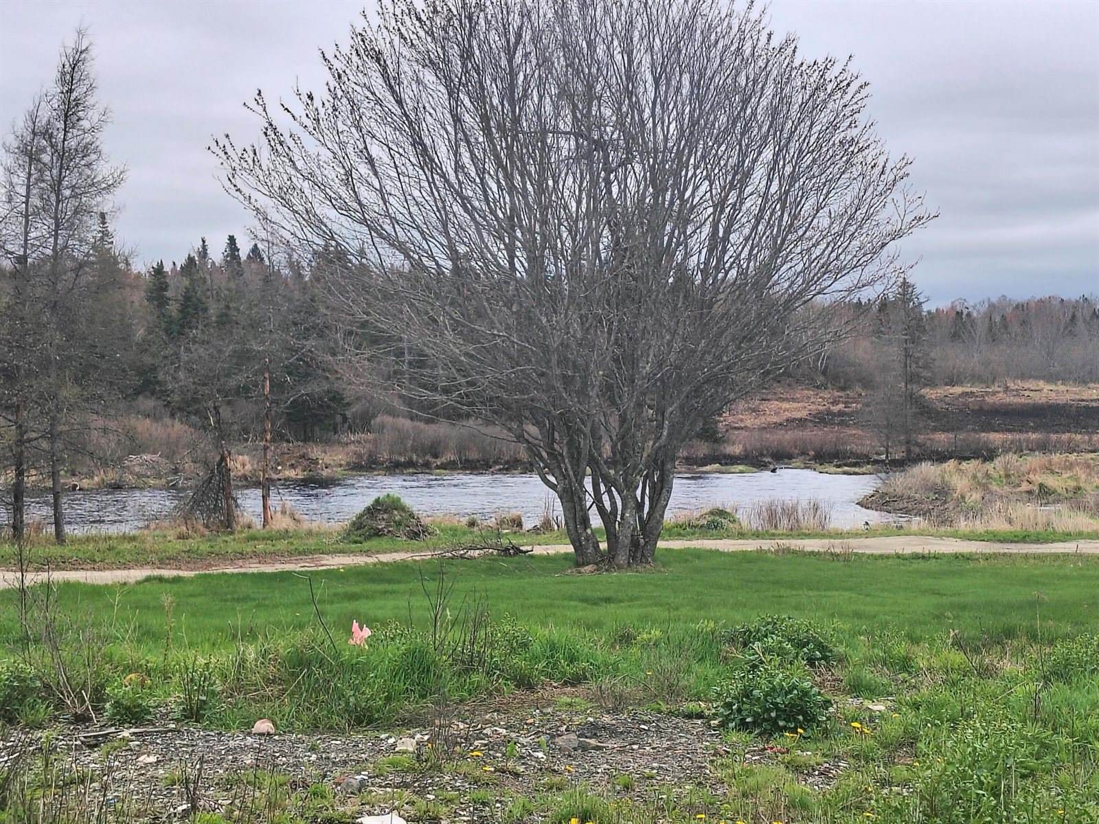 6 & 20 Skinner Corner, Jonesport, ME 04649