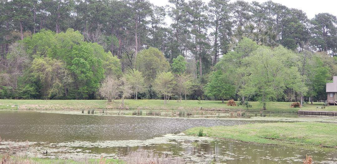 2 Wildwood Lake Drive, Huntsville, TX 77340